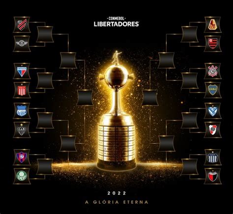 jogos botafogo libertadores 2024